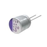 25SEK82M